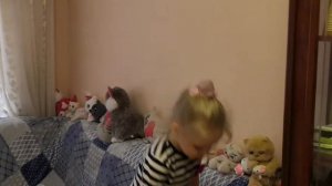 Кошачий патруль, 4 серия