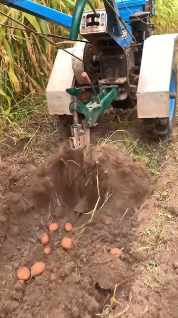 Найпростіша картоплекопалка. #мотоблок #картопля #tractor смотреть онлайн
