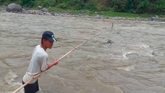 Marshyandi River Fishing 🎣😱Thulo Nadi ma kaure Macha Marni Sajilo Tarika 🦈🔥#youtube #viral #fishing смотреть онлайн