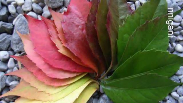 Norah Jones - Love me tender смотреть онлайн