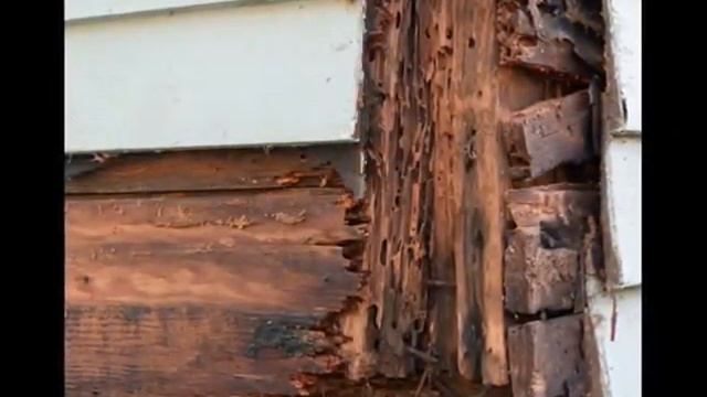 3:56 Bardsdale Termite Wood Repair call Shafran 310-295-1960 смотреть онлайн