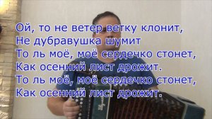 То не ветер ветку клонит // разбор на гармони по цифрам
