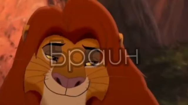 Клип 🦁Кову и Киара🐱 🔩Моя Голова Винтом🔩 смотреть онлайн