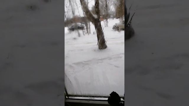 ВЛОГ! Жили были. Добро 28.12.2021 Жилетово