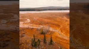 ЭКОЛОГИЧЕСКАЯ СИТУАЦИЯ В РОССИИ