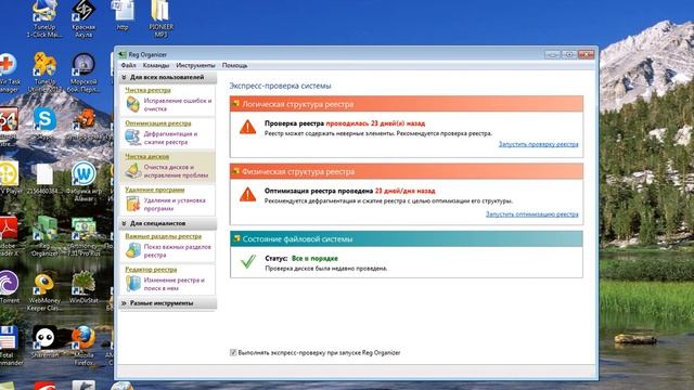 чистка реестра - Reg Organizer
