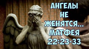 Ангелы не женятся... неТора Матфея 22:23-33