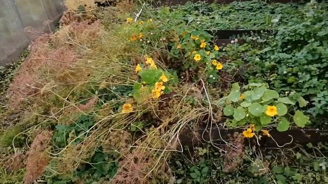 На даче, как обычно. 09.09.2023 смотреть онлайн