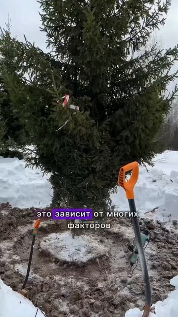 Размер имеет значение?! смотреть онлайн