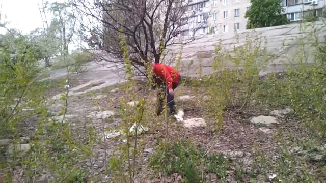 Для чего мы ловили голубя смотреть онлайн