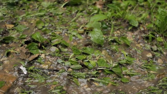 04 Iosif ZelenyiTeatr смотреть онлайн