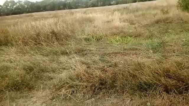 Короткие разговорные видеоклипы.Про порядок моих видео и многие другие темы.Часть-2.Продолжение