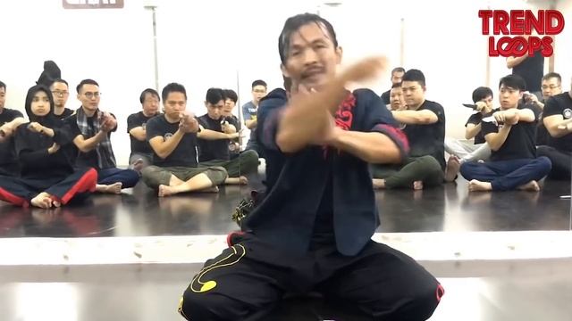 Why Silat is effective in a street fight смотреть онлайн