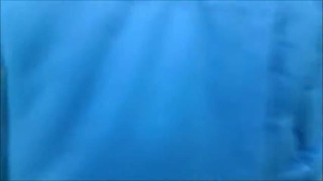 БЕЖИМ !!! УТКА НАПАДАЕТ