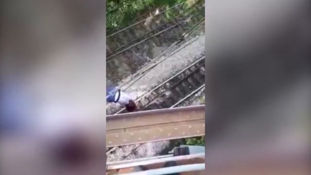 Самарская школьница хотела сделать селфи и повисла на проводах смотреть онлайн