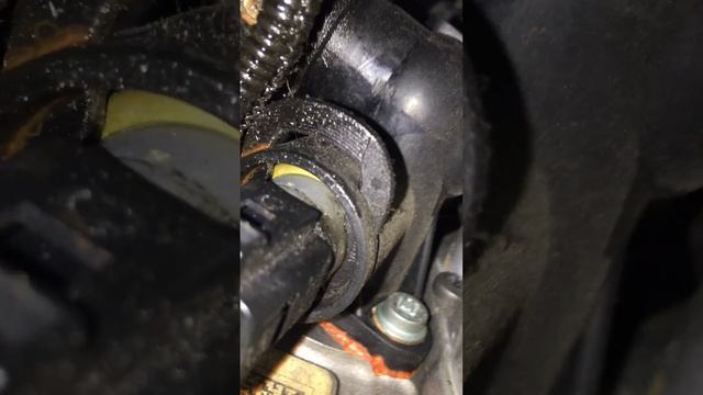 Audi B7 2.0T Leaking Coolant Flange and Vacuum Pump смотреть онлайн