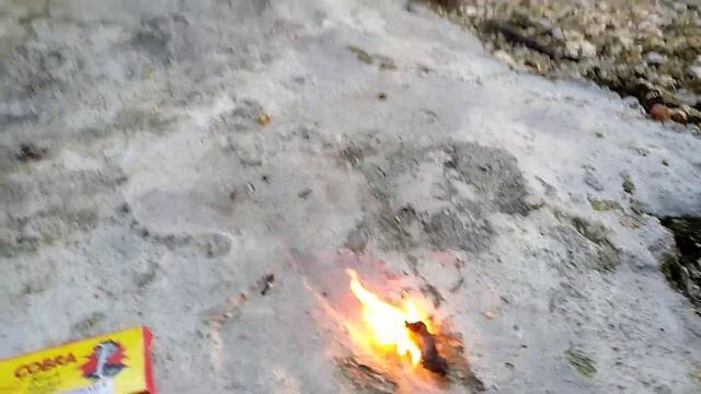 Nyumet Mercon Cobra Black Snakes