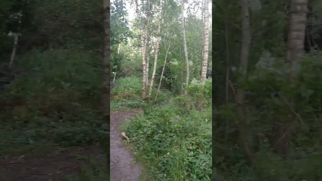 Helix Hotel Grangemouth Pineapple House And Extras