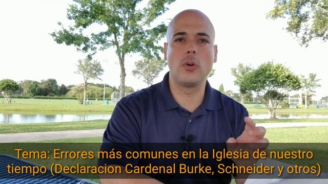 Errores más comunes en la Iglesia de nuestro tiempo (Declaración Cardenal Burke, Schneider y otros) смотреть онлайн