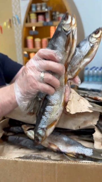 Чебак - Якутская вобла👍 #азбукасевера