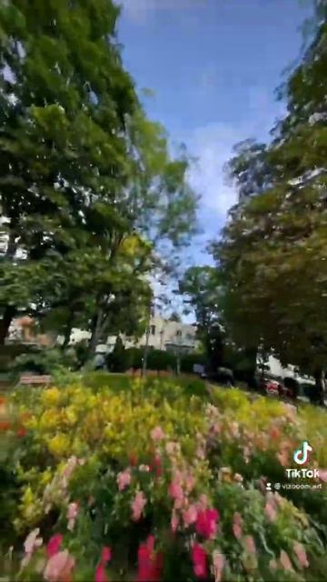 Мир глазами мухи смотреть онлайн