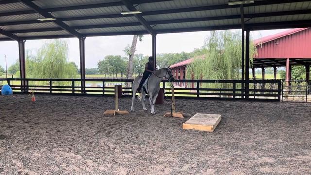 Amy Bhakhri, Freya Di, Basic course, 50+, amateur #12 смотреть онлайн