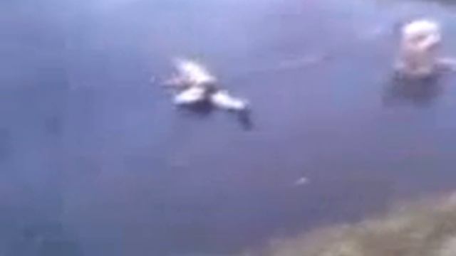 нырок смотреть онлайн
