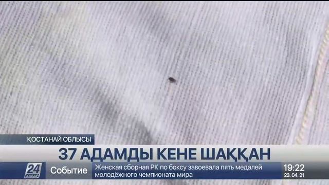 Қостанай облысында 37 адамды кене шақты смотреть онлайн