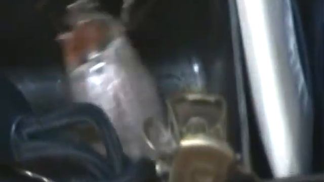 Майский жук. смотреть онлайн