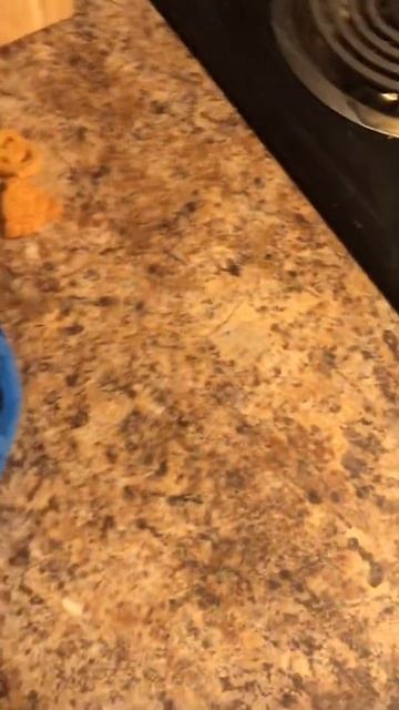 HOL-ee Roller Dog Toy Chew Trst