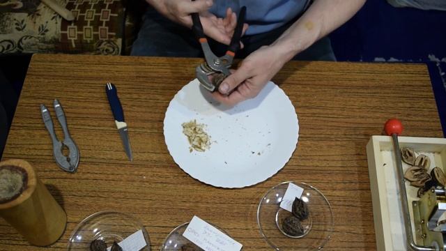 Как расколоть маньчжурский орех