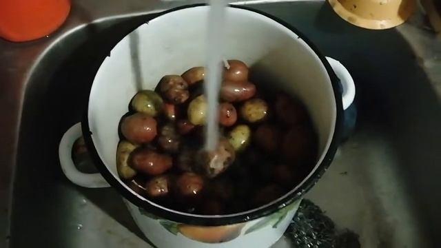 как приготовить мешанку для курей.