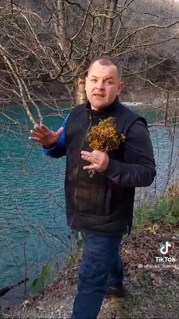 Пижма для здоровья