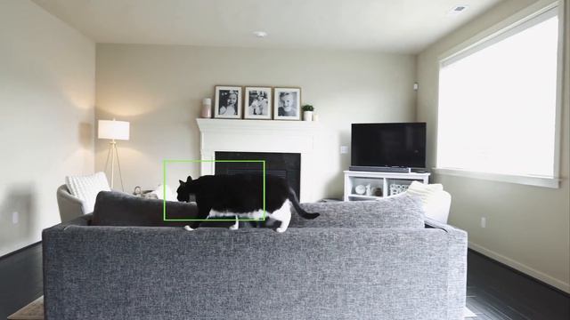 INTRODUCING WYZE CAM PAN смотреть онлайн