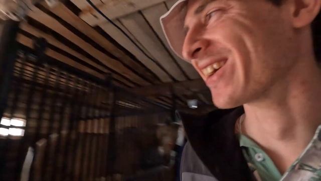 ТРИП. Из ХАнтов в Посёлок, копаем металл, катаюсь на лошади)