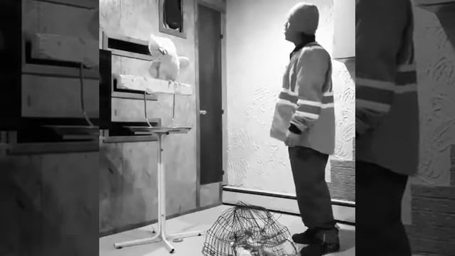 9 ноября 2017 г. смотреть онлайн