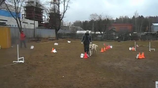 Изображение 1645 смотреть онлайн