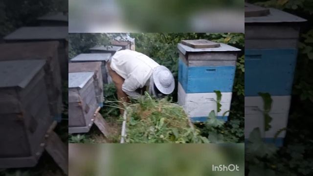 Привет с пасеки. #самыйвкусныйнастоящиймëд смотреть онлайн