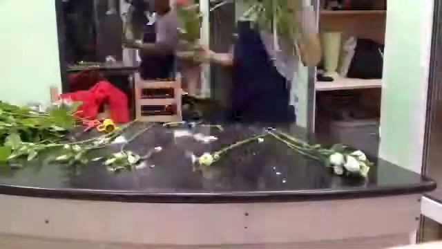 быстрая флористика