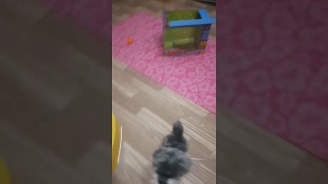 Подарок на Рождество. Собака Рэкс. смотреть онлайн