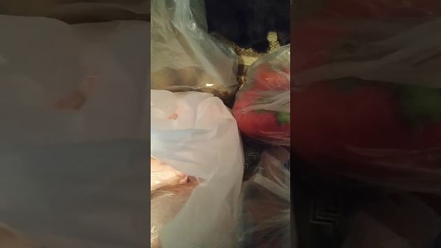 ####cat #котики   Мама пришла с работы! среда