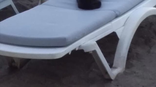 Мармарис. Турция смотреть онлайн