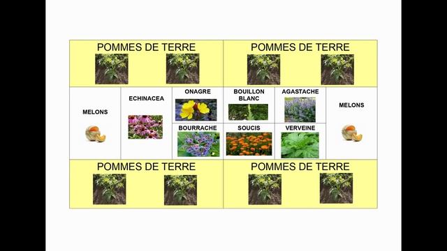 PLANTATION DES PLANTES MEDICINALES DANS LE POTAGER SAISON 1 EPISODE 7 смотреть онлайн
