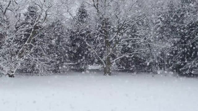 SnowFall Particles in 3DS Max смотреть онлайн