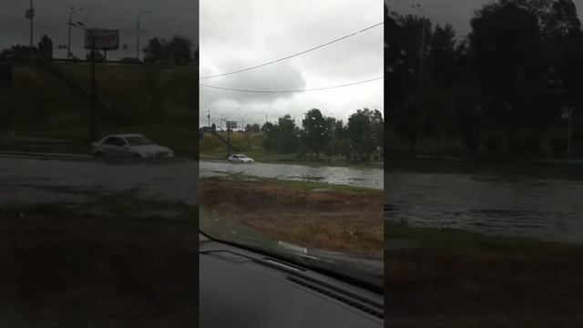Заплывы на Богатырской смотреть онлайн