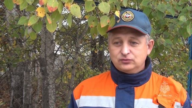 На острове Большой Уссурийский в Хабаровске прошёл учебный сбор кинологических расчётов МЧС России