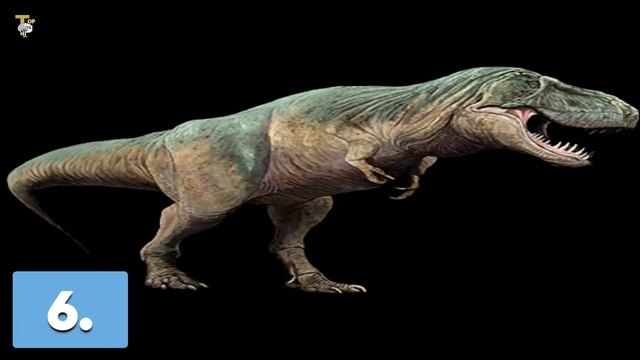 👉TOP 10 BIGGEST DINOSAURS TO HAVE EVER WALKED THE EARTH👈 top 10 смотреть онлайн