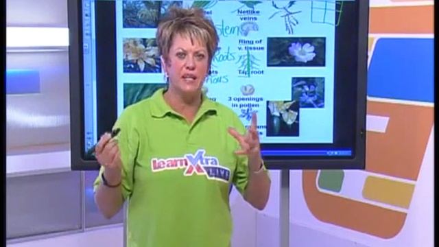 () смотреть онлайн