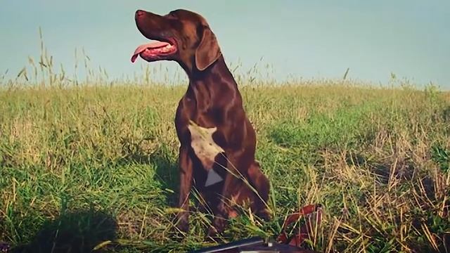10 САМЫХ ГЛУПЫХ СМЕРТЕЙ!! ЖЕСТЬ ВИДЕО!!!