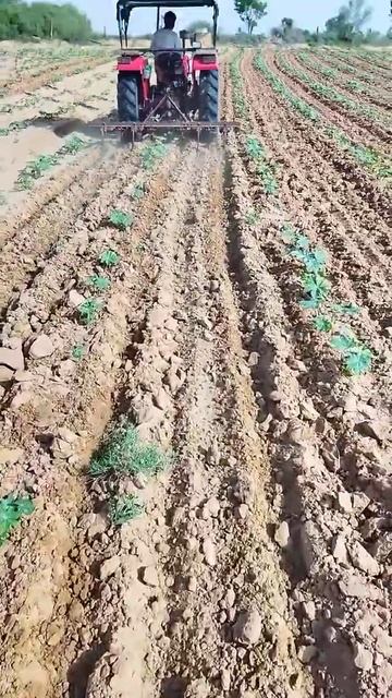 Castor hoeing by tractor #video #viral #diy смотреть онлайн